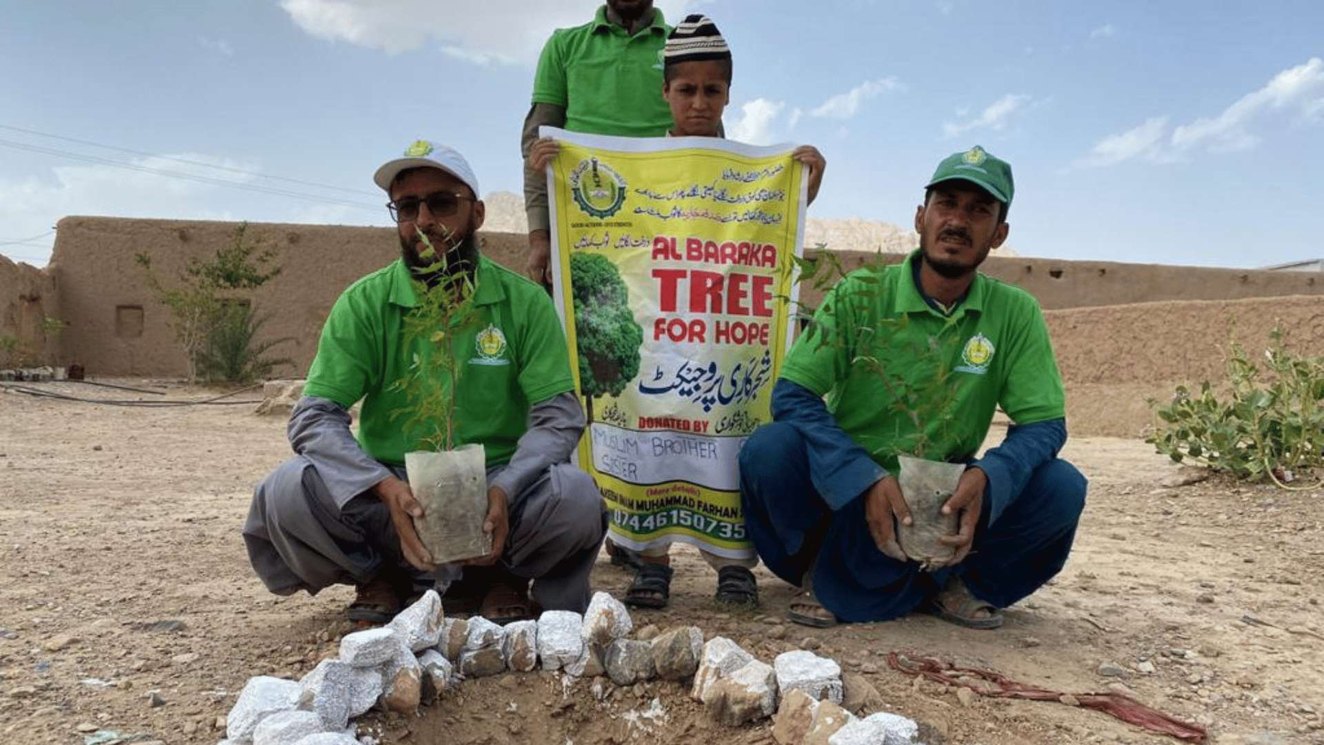 Tree Project Image 2